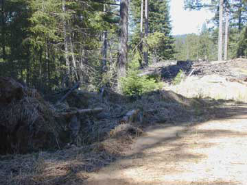P-2 Road outslope sediment.JPG (23523 bytes)