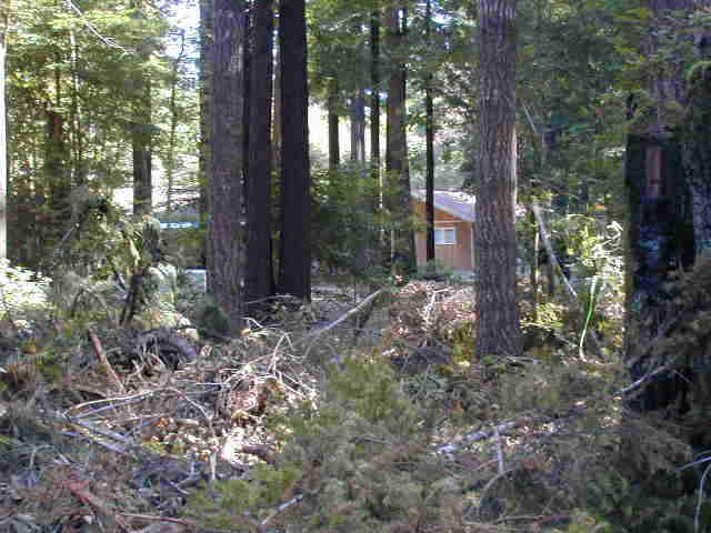 South Side of Hare Creek