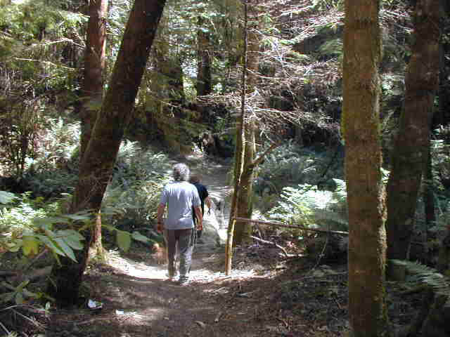 dscn0004.jpg (39193 bytes)