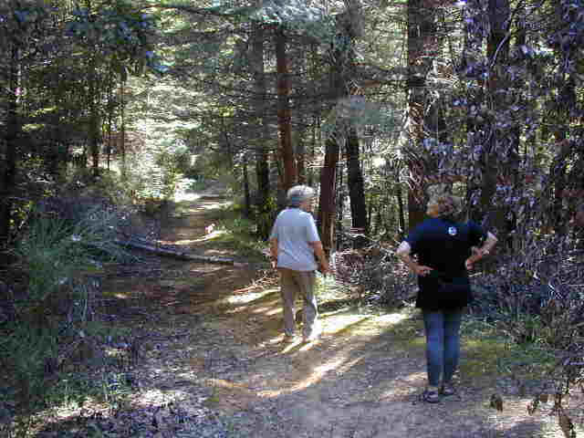 dscn0014.jpg (36508 bytes)