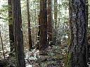DSCN0008.JPG